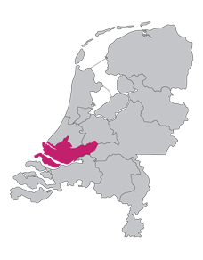 Werk- en rechtsgebied rechtbank Rotterdam
