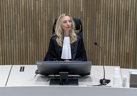 Het oordeel: Kind geboren uit draagmoederconstructie moet kunnen inreizen