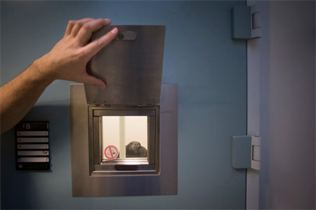 Tot 4 jaar cel en beroepsverbod voor gevangenismedewerkers die gedetineerde vrouwen misbruikten