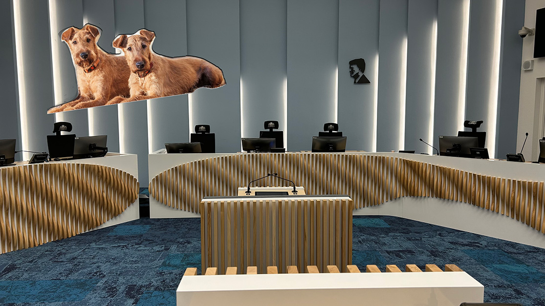 In de rechtbank staan de ex-geliefden tegenover elkaar: wie krijgt de honden?