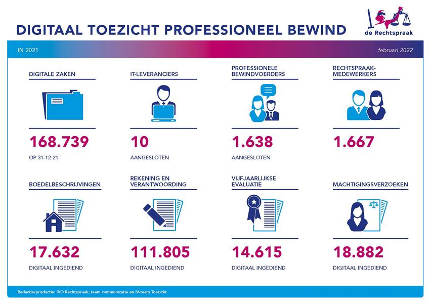 Infographic digitaal toezicht Bewind in 2021