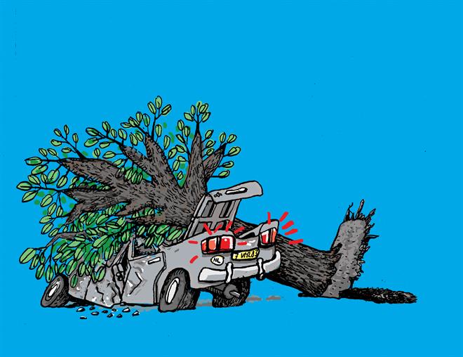 Getekende afbeelding van gevallen boom op auto.