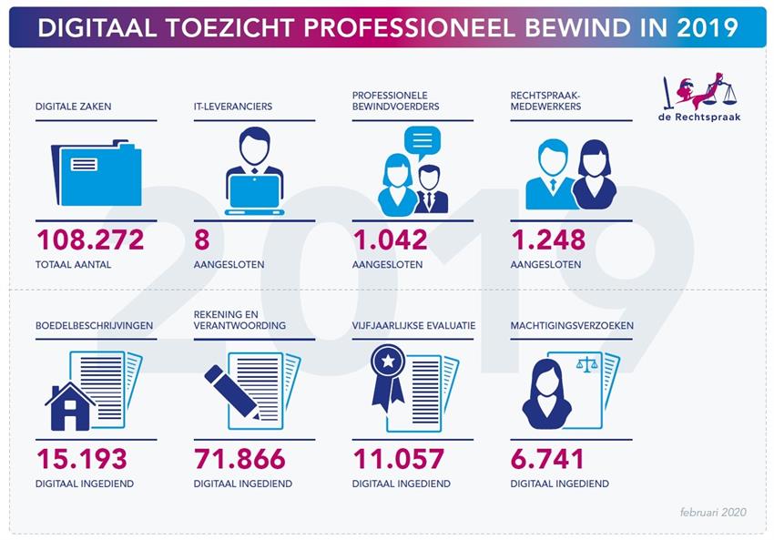 Infographic digitaal toezicht Bewind in 2019