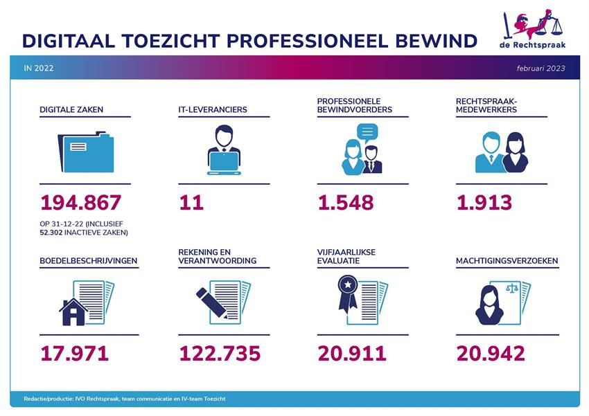 Infographic digitaal toezicht Bewind in 2022