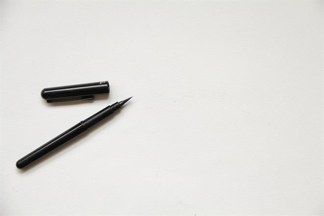 Pen
