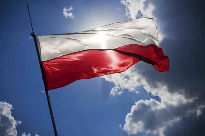 Poolse vlag