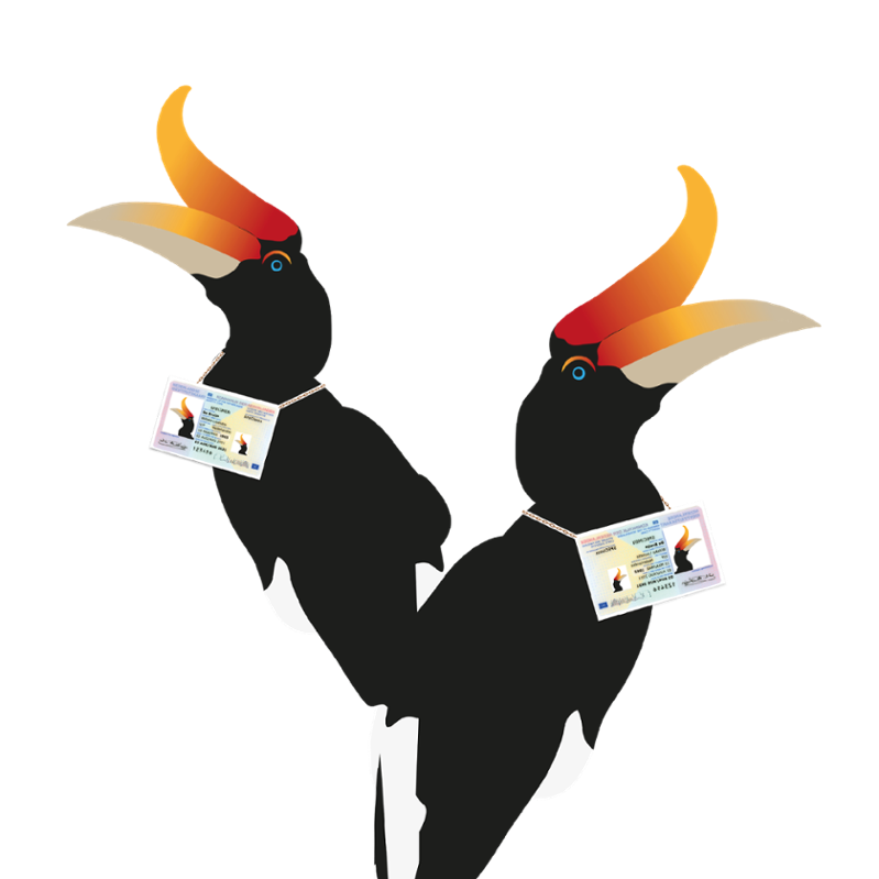 Tekening: twee neushoornvogels met identiteitsbewijs om hun nek.