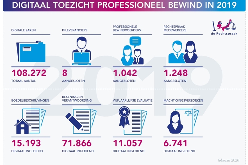 Infographic digitaal toezicht Bewind in 2019