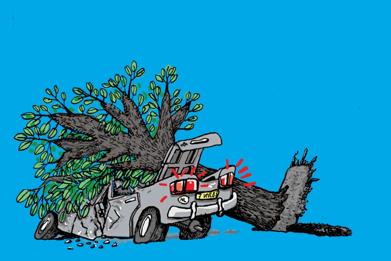 Getekende afbeelding van gevallen boom op auto.