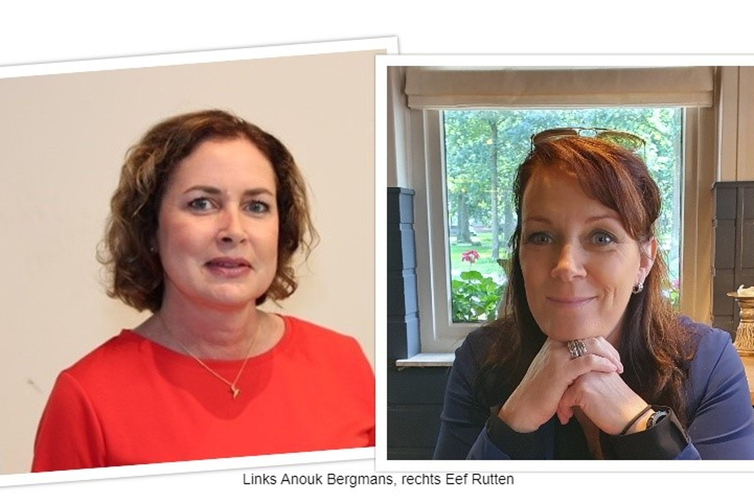 Roosteren en plannen: leren van de gezondheidszorg