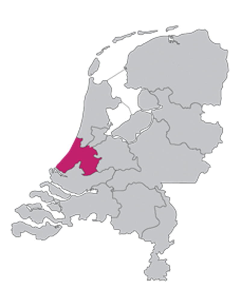 Werk- en rechtsgebied rechtbank Den Haag