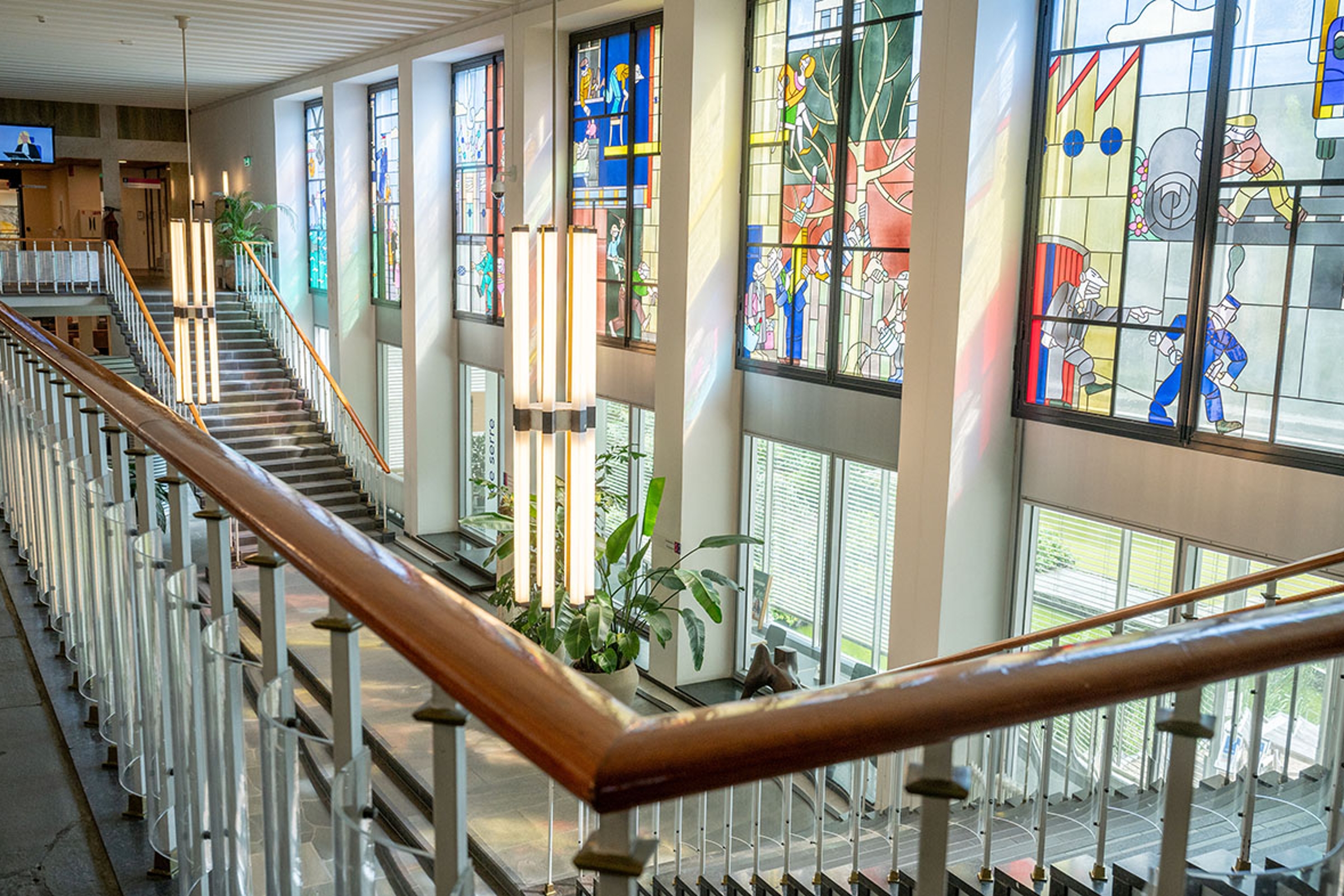 Hof: Sena en Ziggo moeten nieuwe afspraken maken